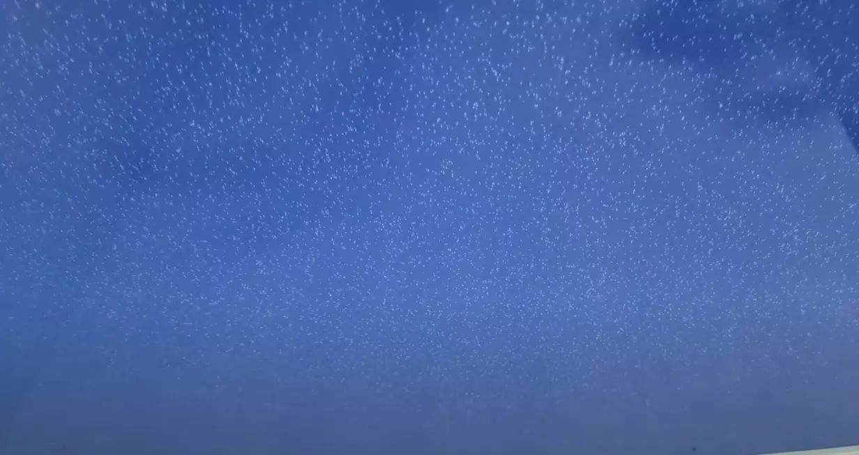 Магнитогорск, улица Грязнова, 37, фото 3