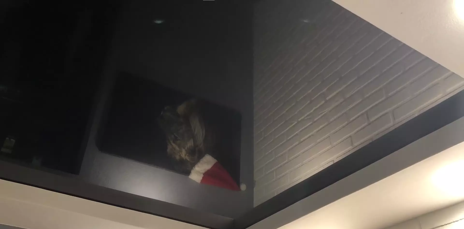 Вологда, Ильюшина, 4, фото 3