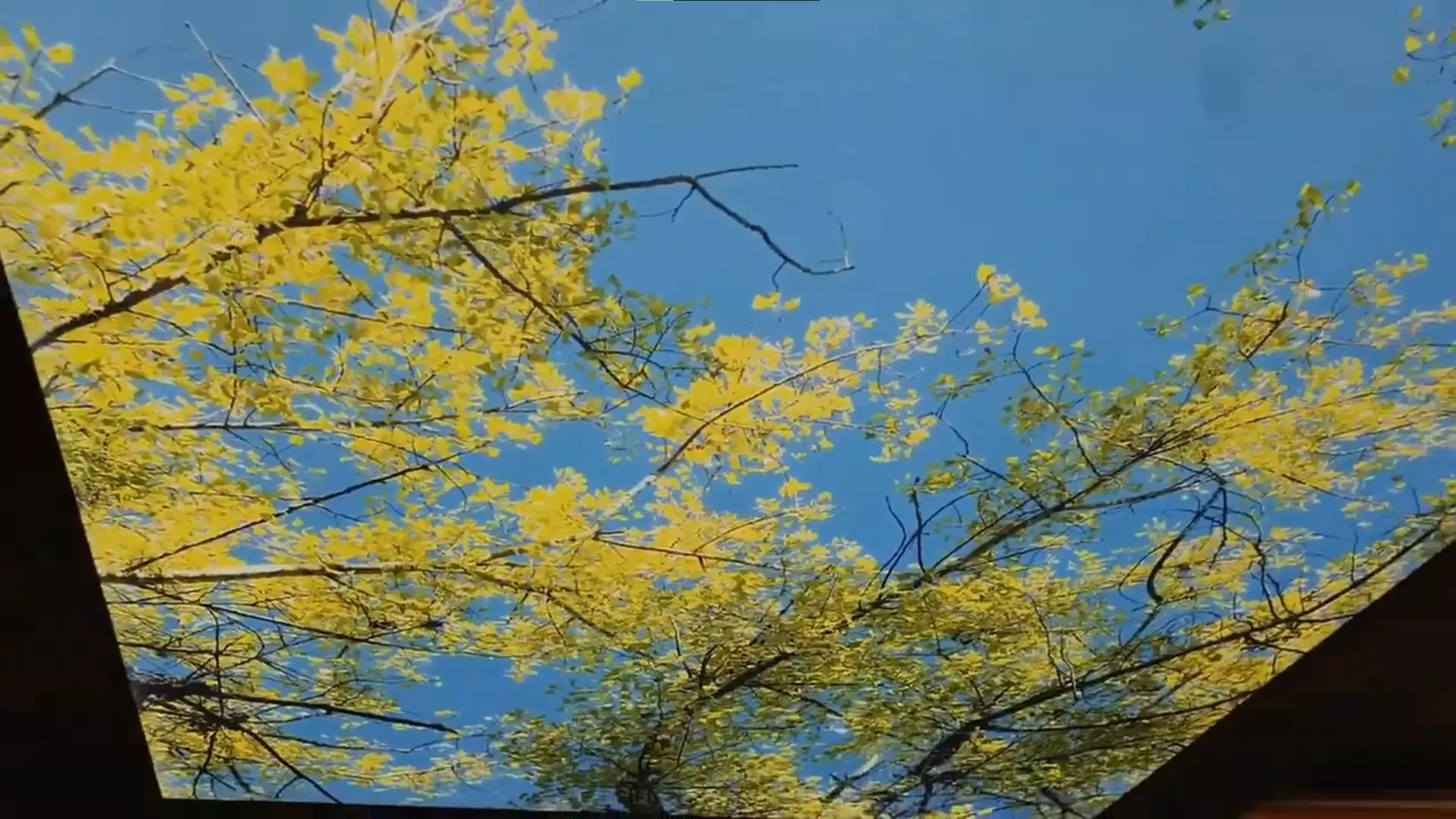 Курск, Дзержинского, 47а, фото 2